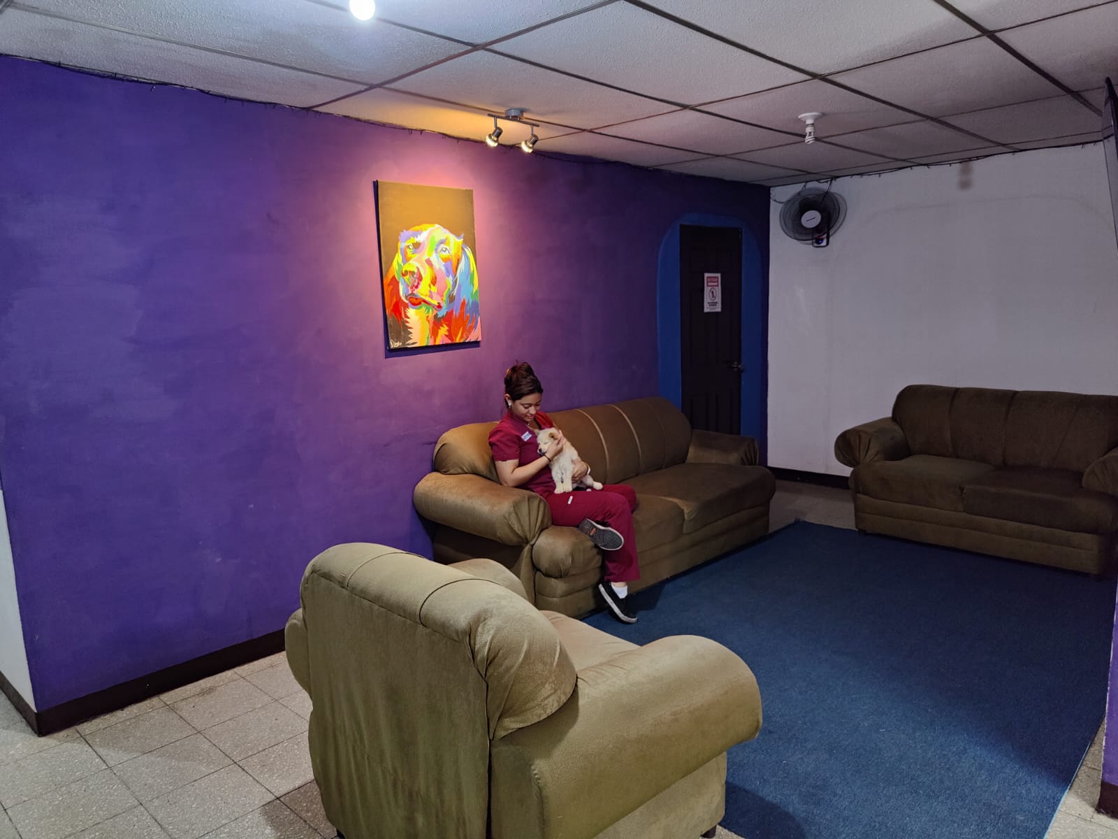 Consulta Médica Constelación Hospital Veterinario/Managua - Monte Blanco Online