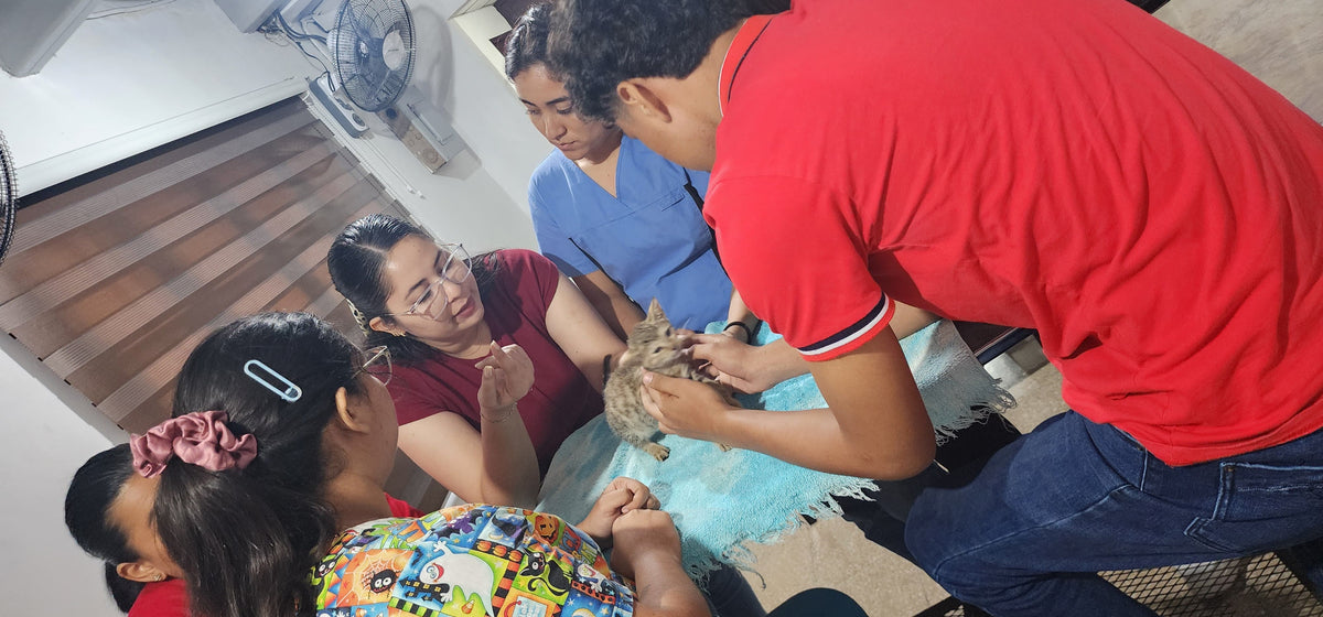 Monte Blanco Distribuciones Veterinarias