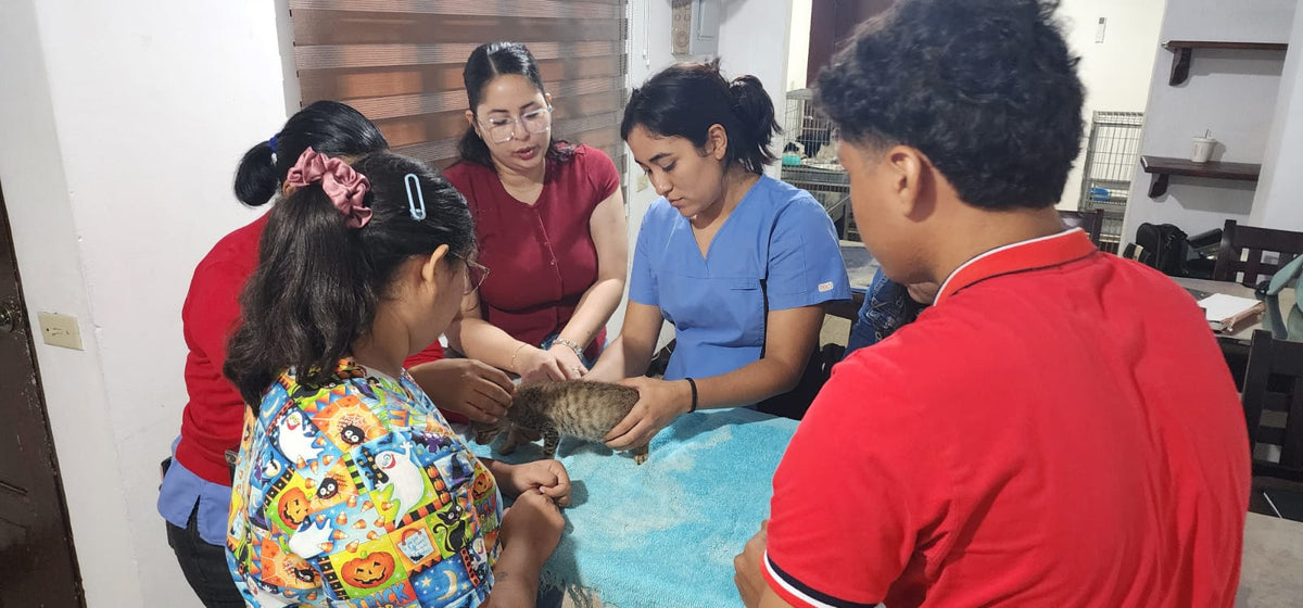 Monte Blanco Distribuciones Veterinarias