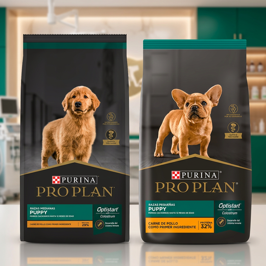 Dos bolsas Purina Pro Plan Puppy Optistart con Colostrum en primer plano, razas medianas con golden retriever y razas pequeñas con bulldog francés impresos, entorno veterinario verde y crema, Monte Blanco Nicaragua. Monte Blanco Distribuciones Veterinarias