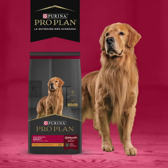  Monte Blanco Distribuciones Veterinarias