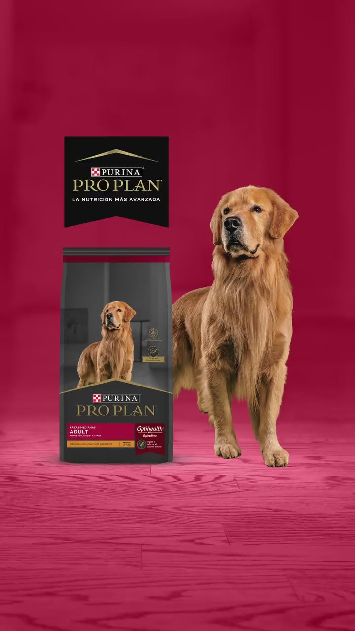Pro Plan Adulto – Alimento Premium para Perros Adultos