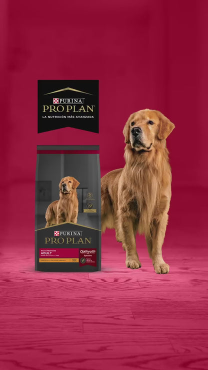 Pro Plan Adulto – Alimento Premium para Perros Adultos