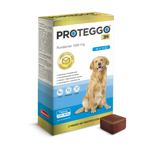 Proteggo 20 - 40Kg 3M